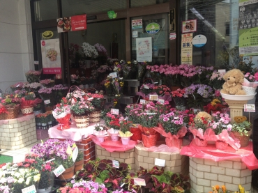 「フローリストとうじょう」　（福島県伊達市）の花屋店舗写真2
