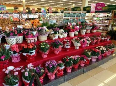 今年の母の日も無事終わることが出来ました。｜「フローリストとうじょう」　（福島県伊達市の花キューピット加盟店 花屋）のブログ