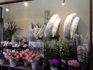 蘭のお花入荷しました｜「フローリストとうじょう」　（福島県伊達市の花キューピット加盟店 花屋）のブログ