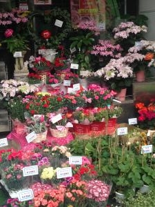 母の日｜「フローリストとうじょう」　（福島県伊達市の花キューピット加盟店 花屋）のブログ