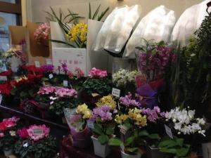 嬉しい一言！｜「フローリストとうじょう」　（福島県伊達市の花キューピット加盟店 花屋）のブログ