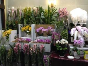 いらっしゃいませ！　蘭のお花がいっぱいですよ！｜「フローリストとうじょう」　（福島県伊達市の花キューピット加盟店 花屋）のブログ